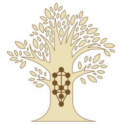 PLAN DE TRABAJO: SEMANA 3 — TIFERET (תִּפְאֶרֶת)